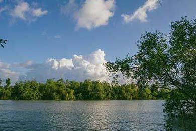 14位世界冠军棋聚宝安！2024第四届“湾区杯”中国围棋大棋士赛预选赛正式开赛