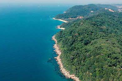 APEX英雄 新星选手表现抢眼，apex新英雄技能曝光